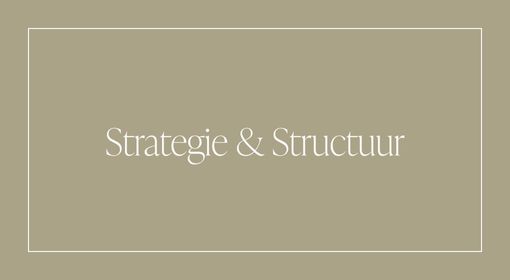 Strategie & Structuur