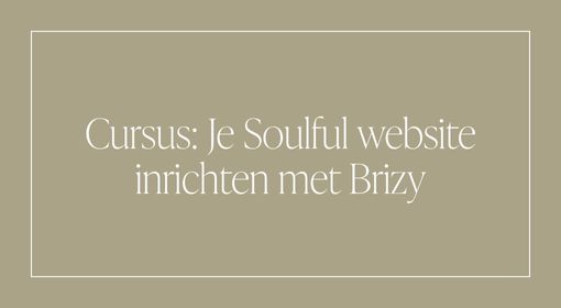 Je Soulful website inrichten met Brizy